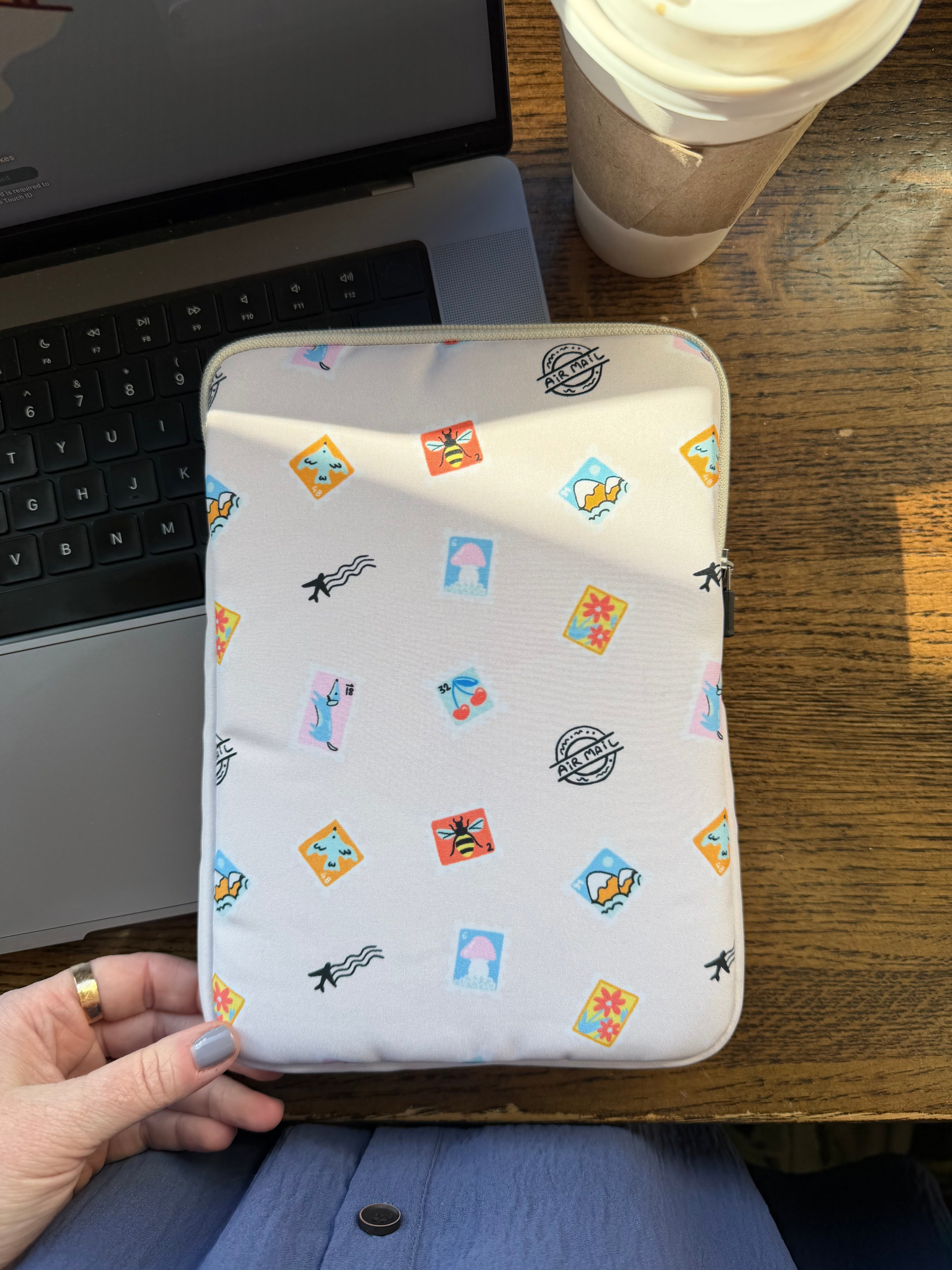 Air Mail Book Sleeve