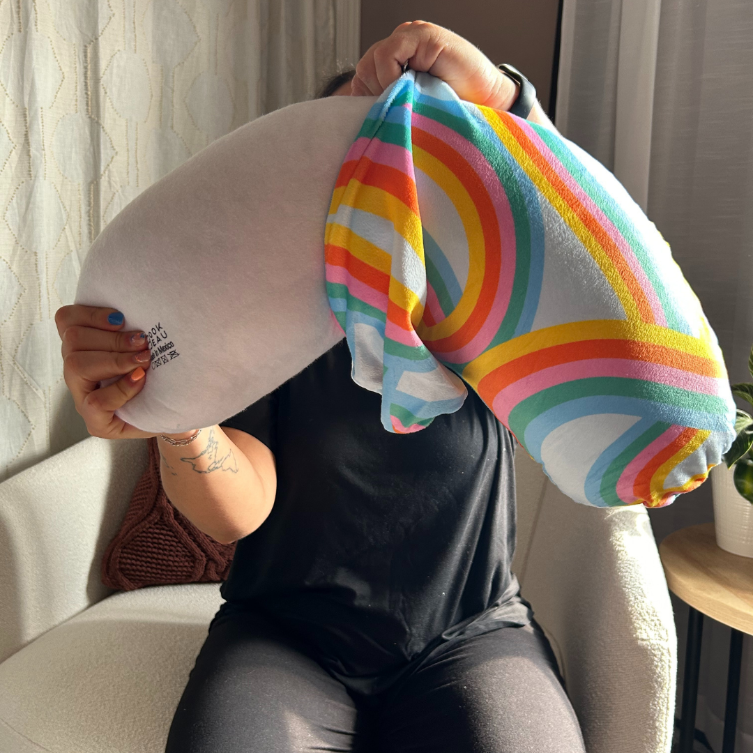 REPLACEMENT COVER Retro Rainbow (Flat Minky) | Reading Pillow