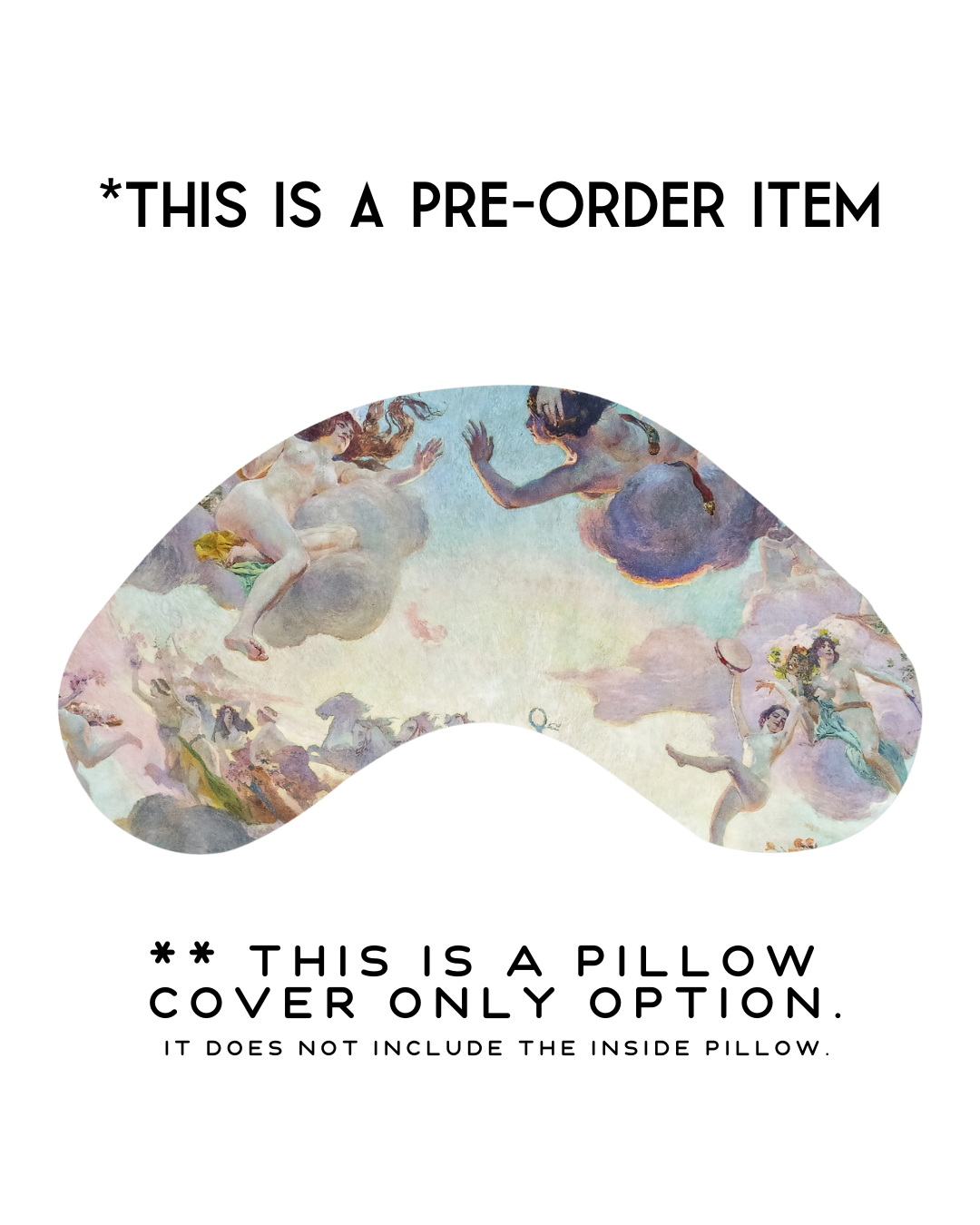 REPLACEMENT COVER Heavenly Bodies (Flat Minky) | Reading Pillow