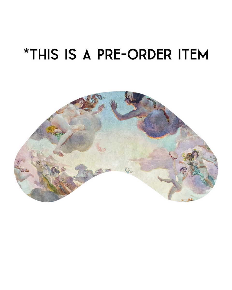 Heavenly Bodies (Flat Minky) Reading Pillow Book Beau