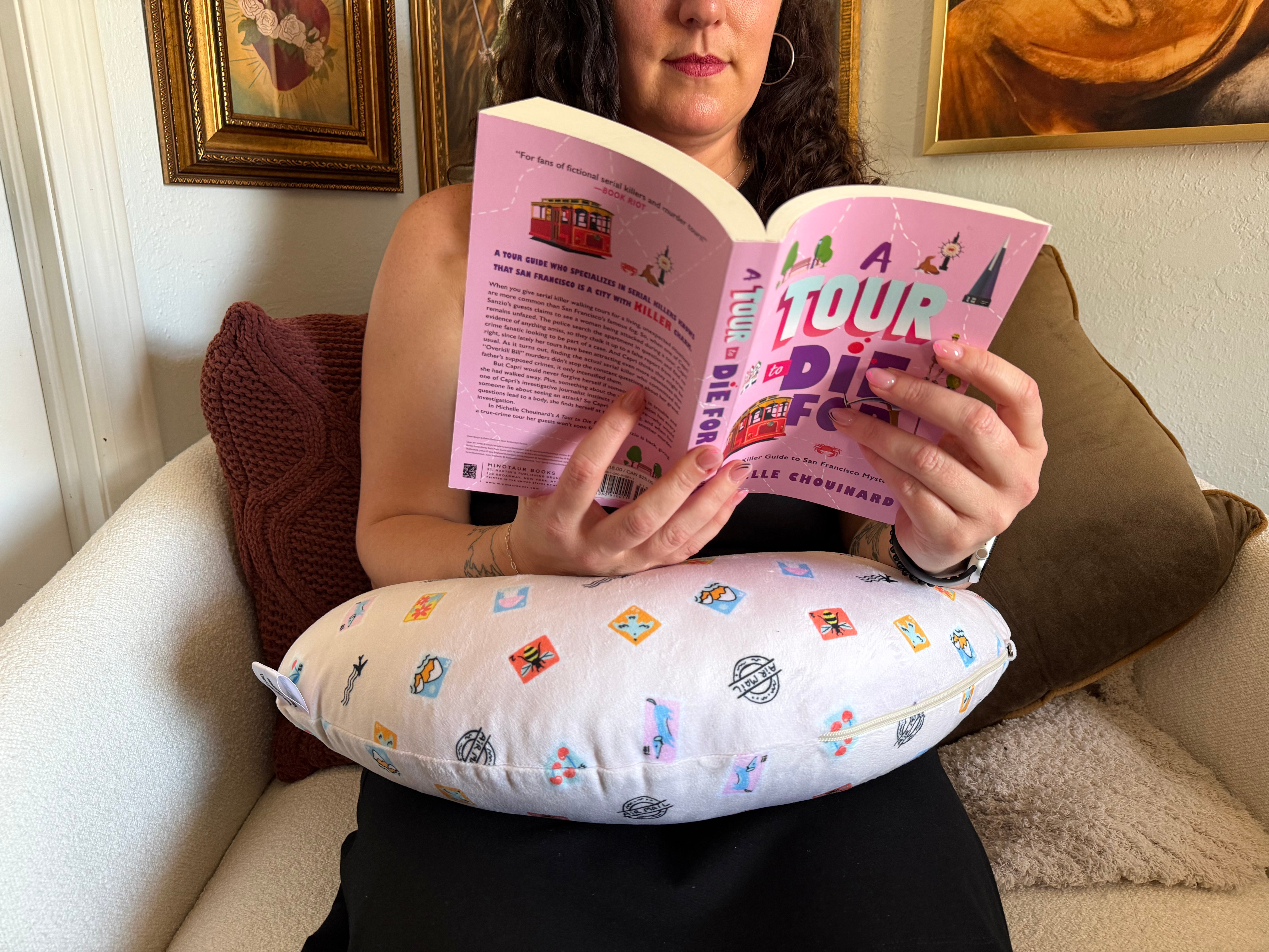 Air Mail Reading Pillow