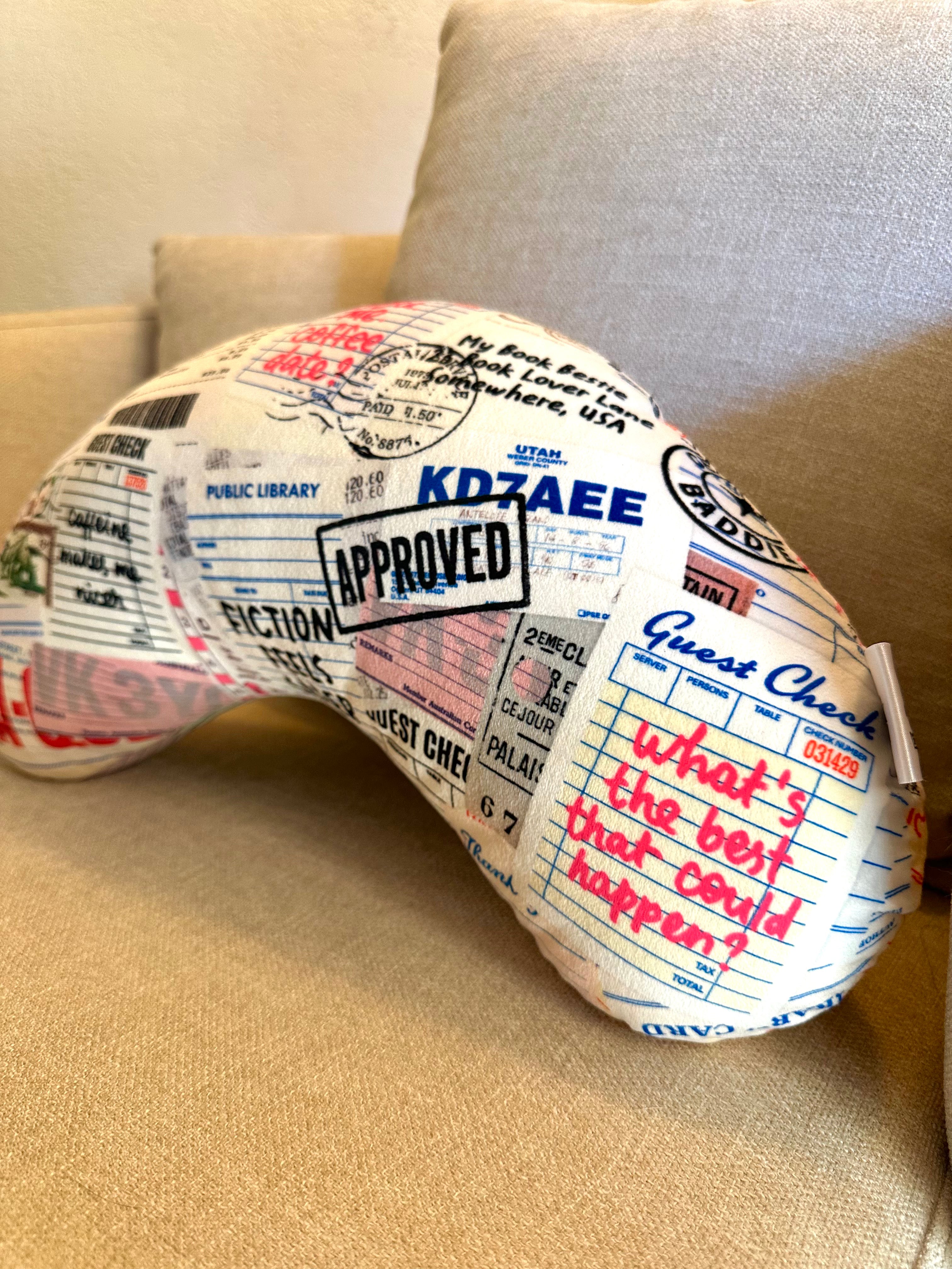 Check it Out Reading Pillow