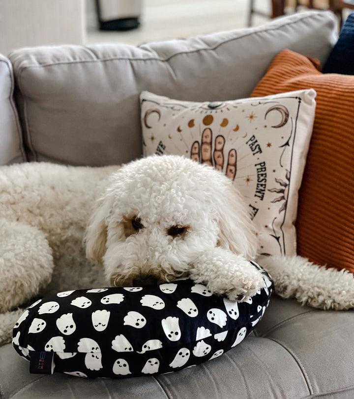 Friendly Ghosts Reading Pillow